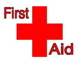 banan instinkt overdrivelse Red Cross First Aid Classes | Critical Care Education